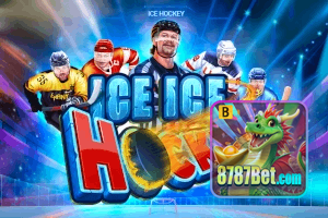 8787BET feedback — categorias de sugestão e melhoria no app