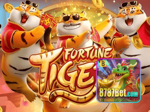 Guia install APK 8787BET BR
