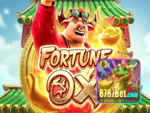 8787BET login — painel de entrada no app oficial